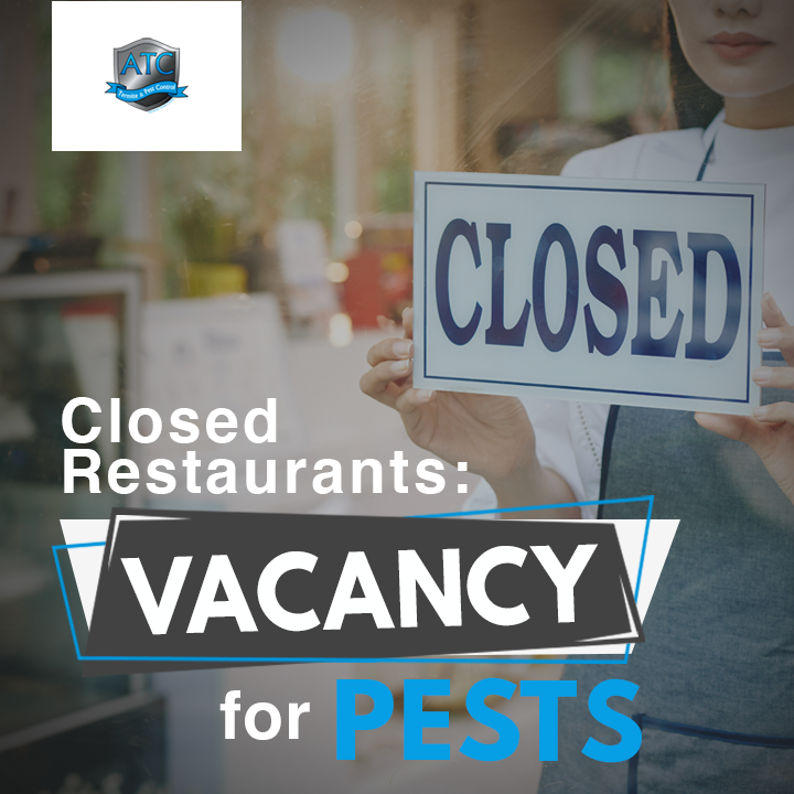 Closed Restaurants Vacancy for Pests